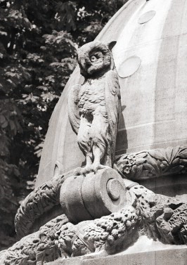 Owl